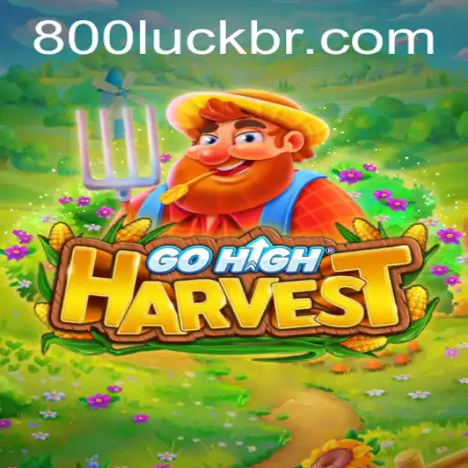 800luck Exclusivo